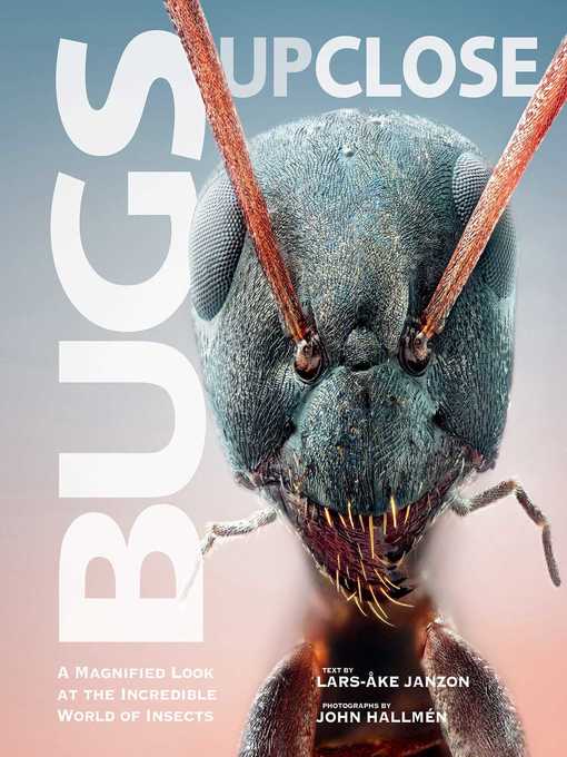 Cover image for Bugs Up Close: a Magnified Look at the Incredible World of Insects